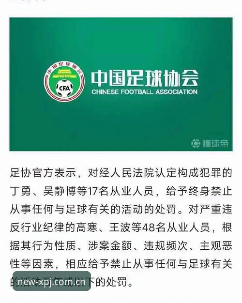 中国足协第三批禁足名单深度评测：行业整顿背后的赛事生态重构